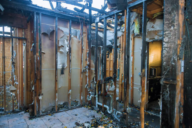 Professional Fire Damage Removal technician working in Wills Point, TX